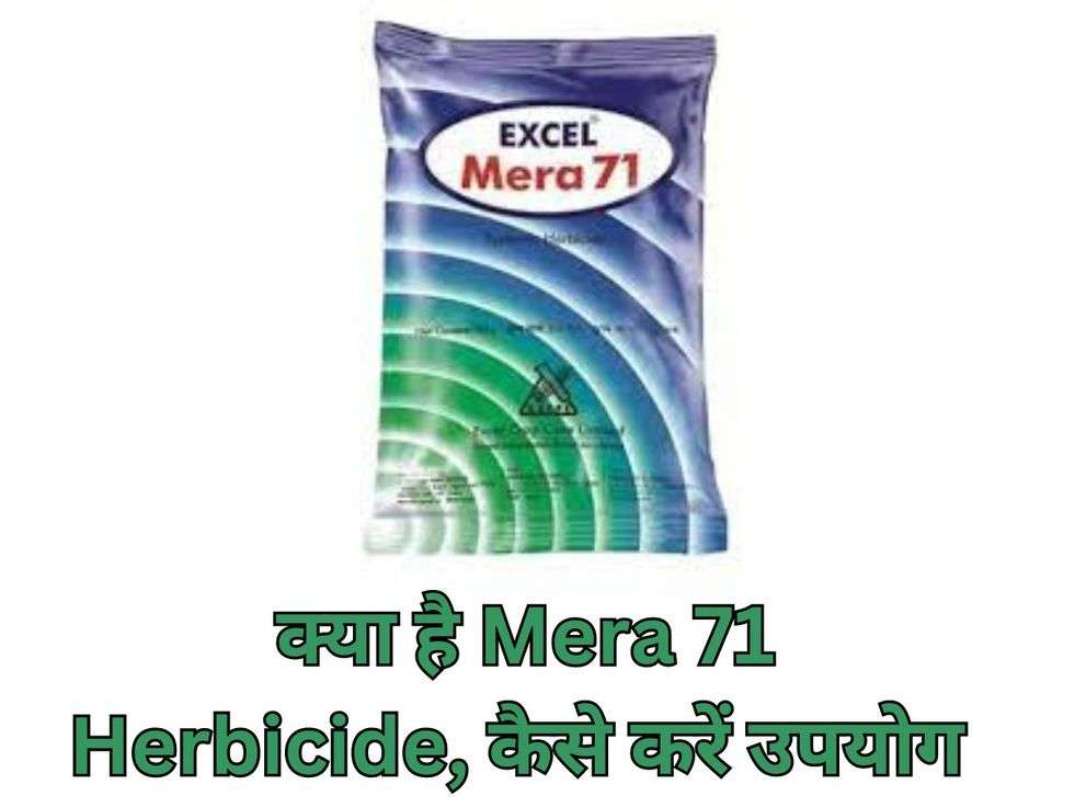 Mera 71 Herbicide