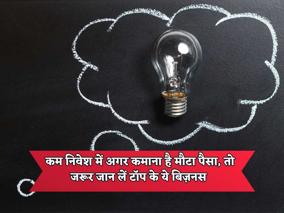 Business Idea : कम निवेश में अगर कमाना है मौटा पैसा, तो जरूर जान लें टॉप के ये बिज़नस 