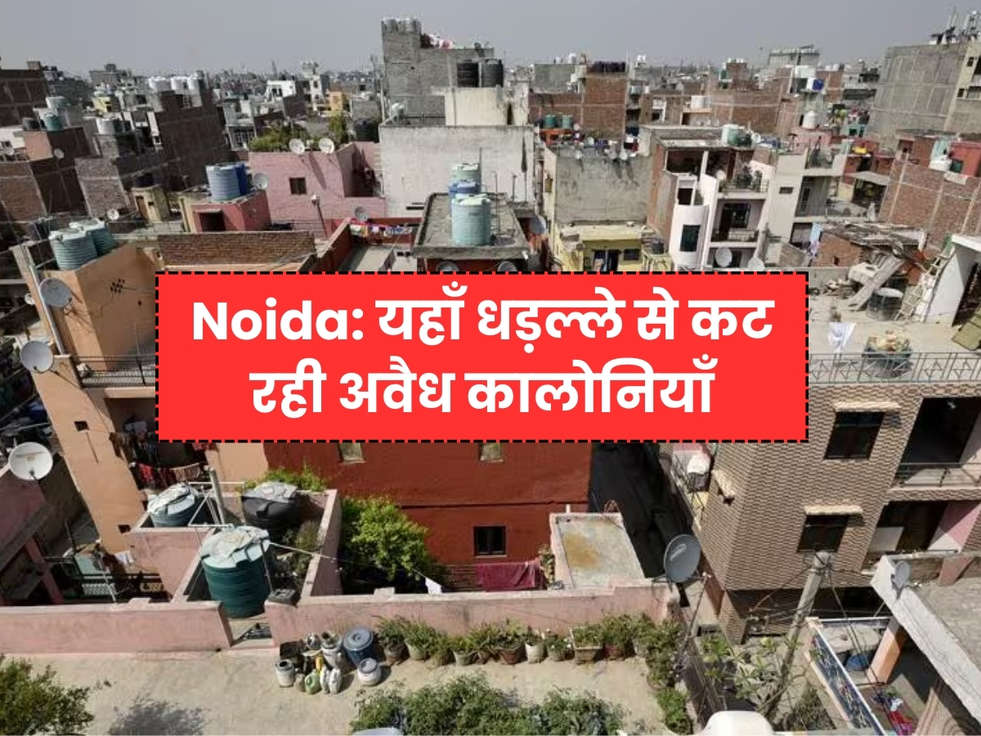 noida news