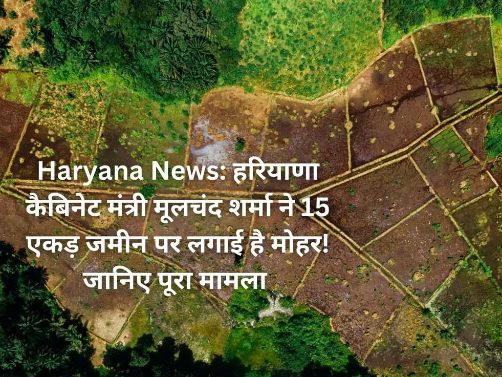 Haryana News: हरियाणा कैबिनेट मंत्री मूलचंद शर्मा ने 15 एकड़ जमीन पर लगाई है मोहर! जानिए पूरा मामला 