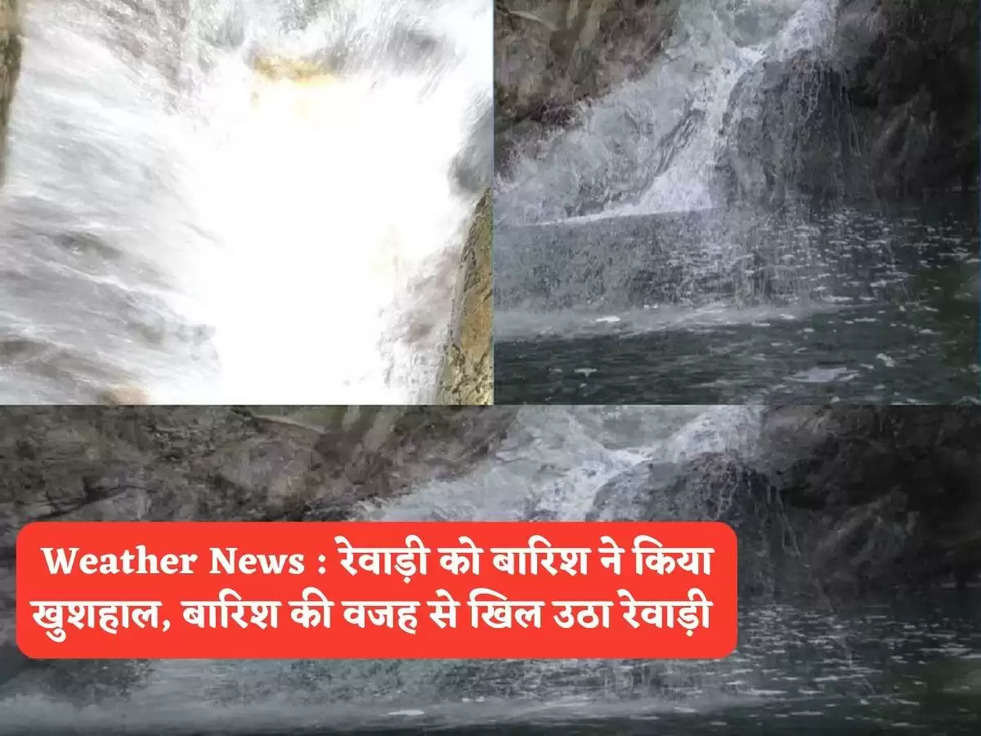 Weather News : रेवाड़ी को बारिश ने किया खुशहाल, बारिश की वजह से खिल उठा रेवाड़ी 