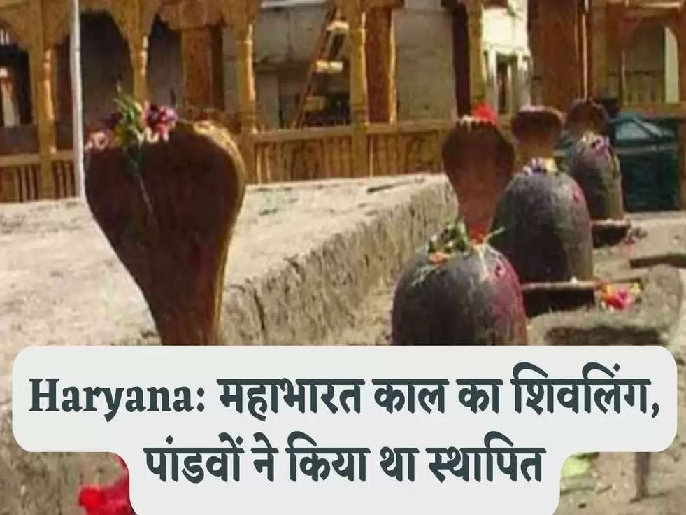 Haryana Breaking News: महाभारत काल का शिवलिंग, पांडवों ने किया था स्थापित