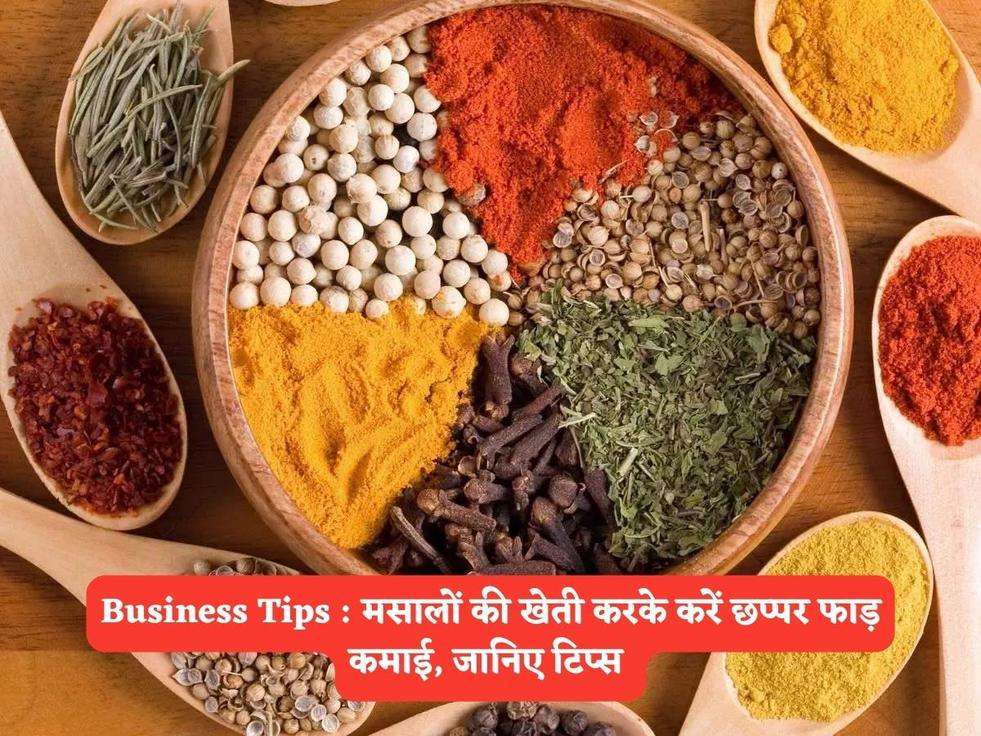 Business Tips :  मसालों की खेती करके करें छप्पर फाड़ कमाई, जानिए टिप्स 