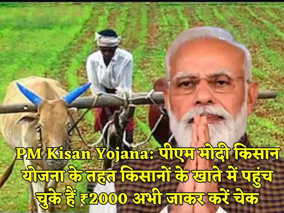 PM Kisan Yojana: पीएम मोदी किसान योजना के तहत किसानों के खाते में पहुंच चुके हैं ₹2000 अभी जाकर करें चेक