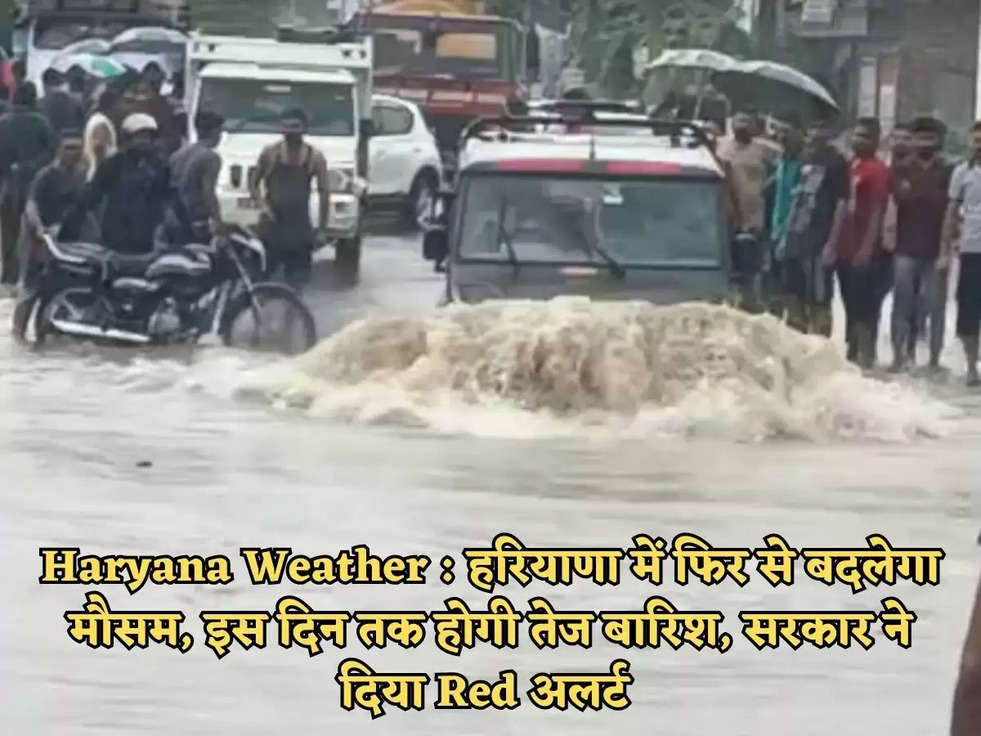 Haryana Weather : हरियाणा में फिर से बदलेगा मौसम, इस दिन तक होगी तेज बारिश, सरकार ने दिया Red अलर्ट 