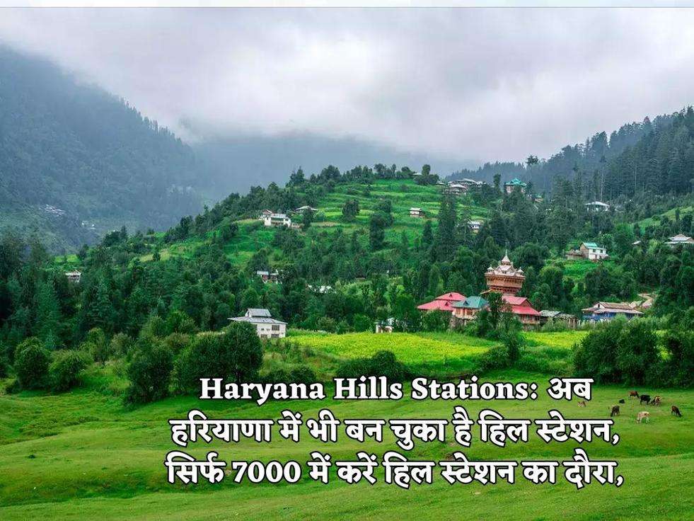 Haryana Hills Stations: अब हरियाणा में भी बन चुका है हिल स्टेशन, सिर्फ ...