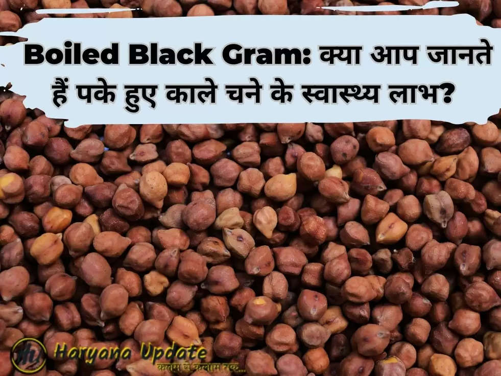 Boiled Black Gram: क्या आप जानते हैं पके हुए काले चने के स्वास्थ्य लाभ? 