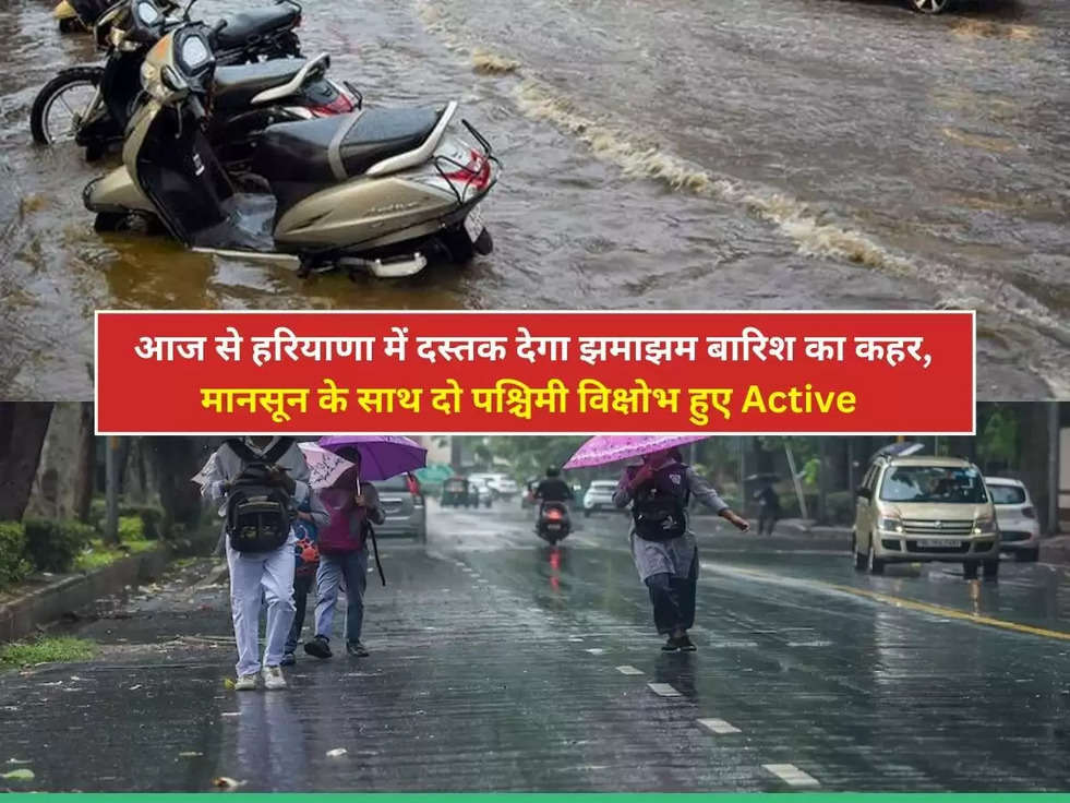 Weather Update Haryana: आज से हरियाणा में दस्तक देगा झमाझम बारिश का कहर, मानसून के साथ दो पश्चिमी विक्षोभ हुए Active 