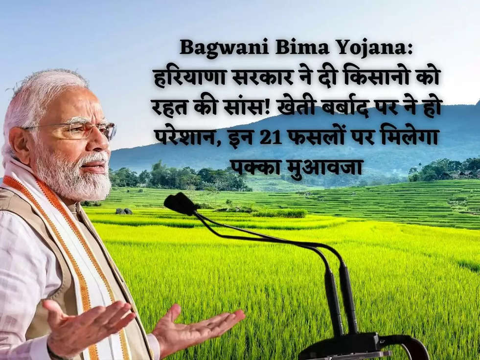 Bagwani Bima Yojana: हरियाणा सरकार ने दी किसानो को रहत की सांस! खेती बर्बाद पर ने हो परेशान, इन 21 फसलों पर मिलेगा पक्का  मुआवजा