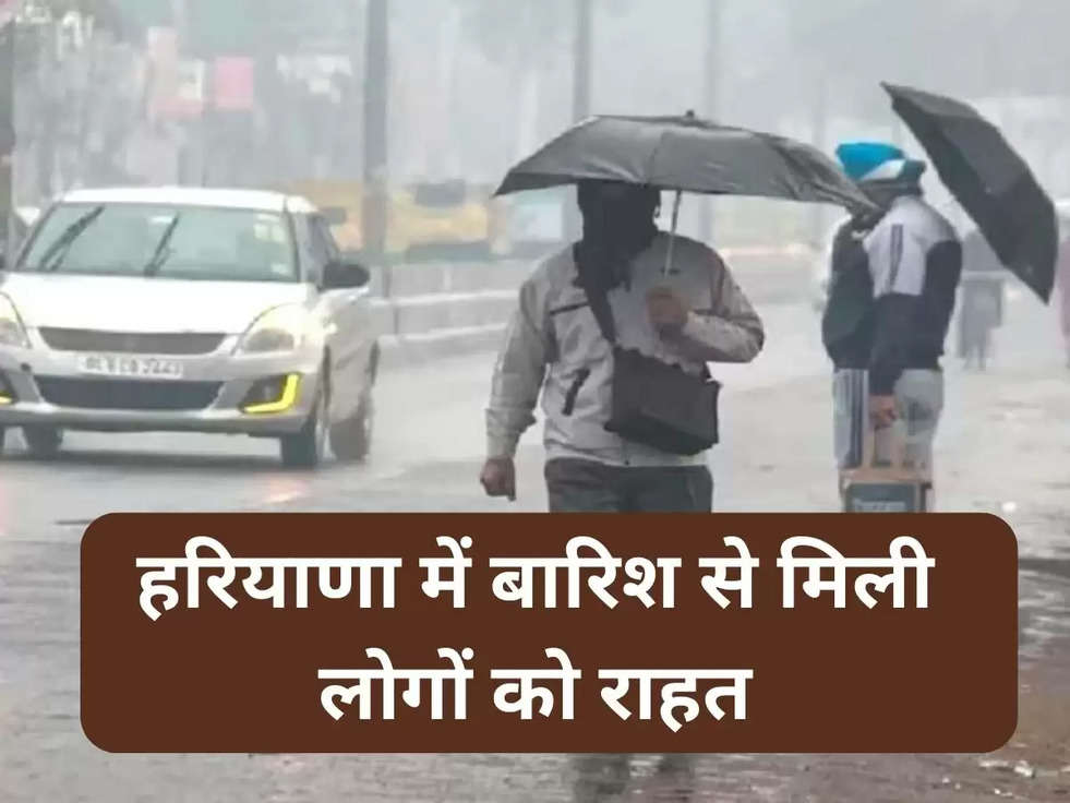 Haryana Monsoon