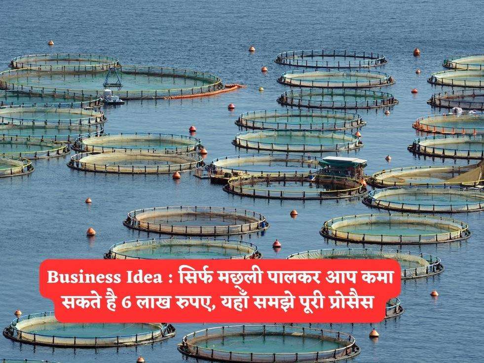 Business Idea : सिर्फ मछ्ली पालकर आप कमा सकते है 6 लाख रुपए, यहाँ समझे पूरी प्रोसैस 