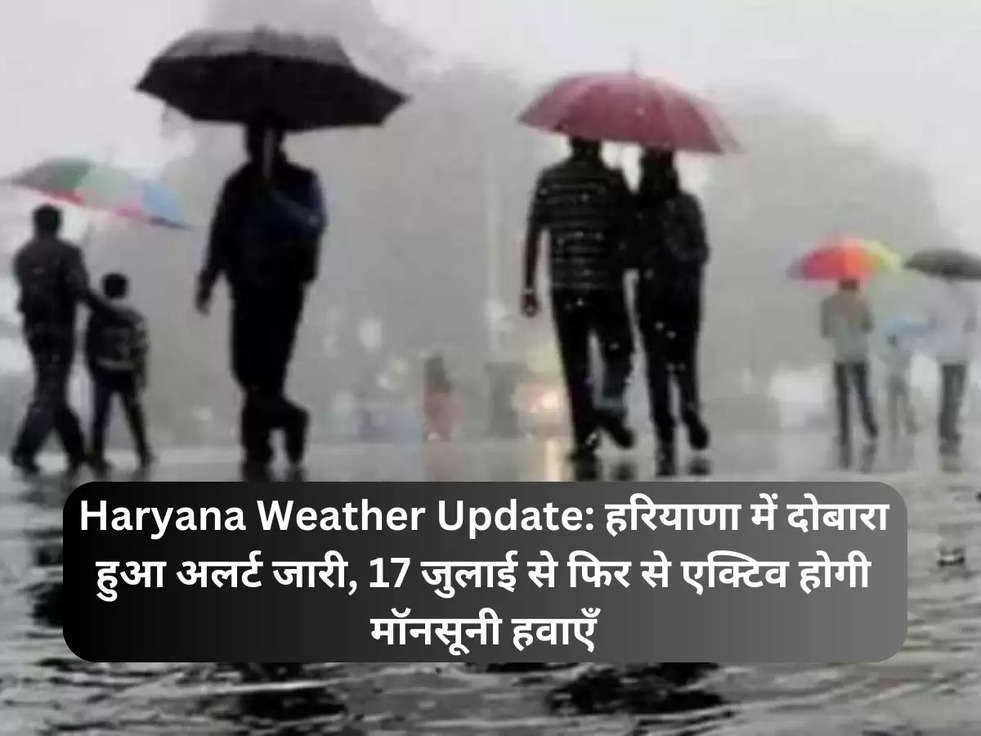 Haryana Weather Update