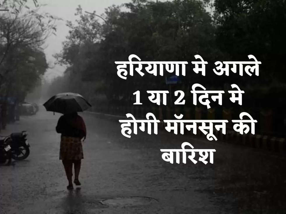 haryana monsoon update