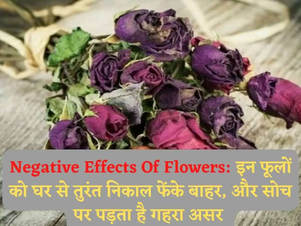 Negative Effects Of Flowers: इन फूलों को घर से तुरंत निकाल फेंके बाहर, और सोच पर पड़ता है गहरा असर 