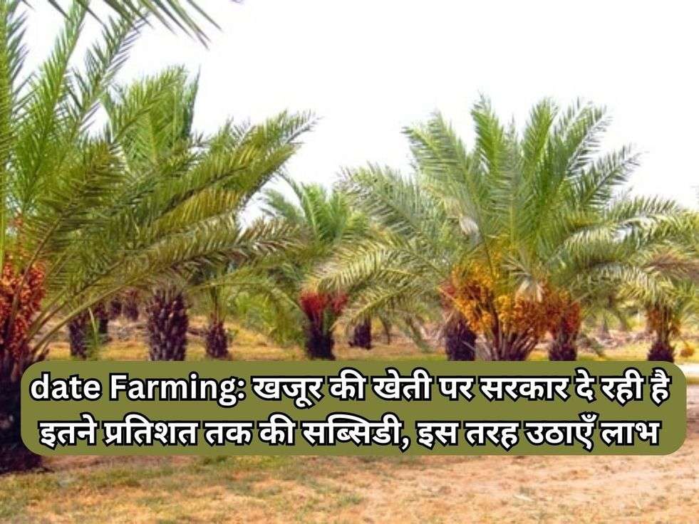 date Farming