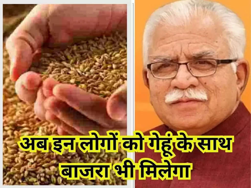 haryana update