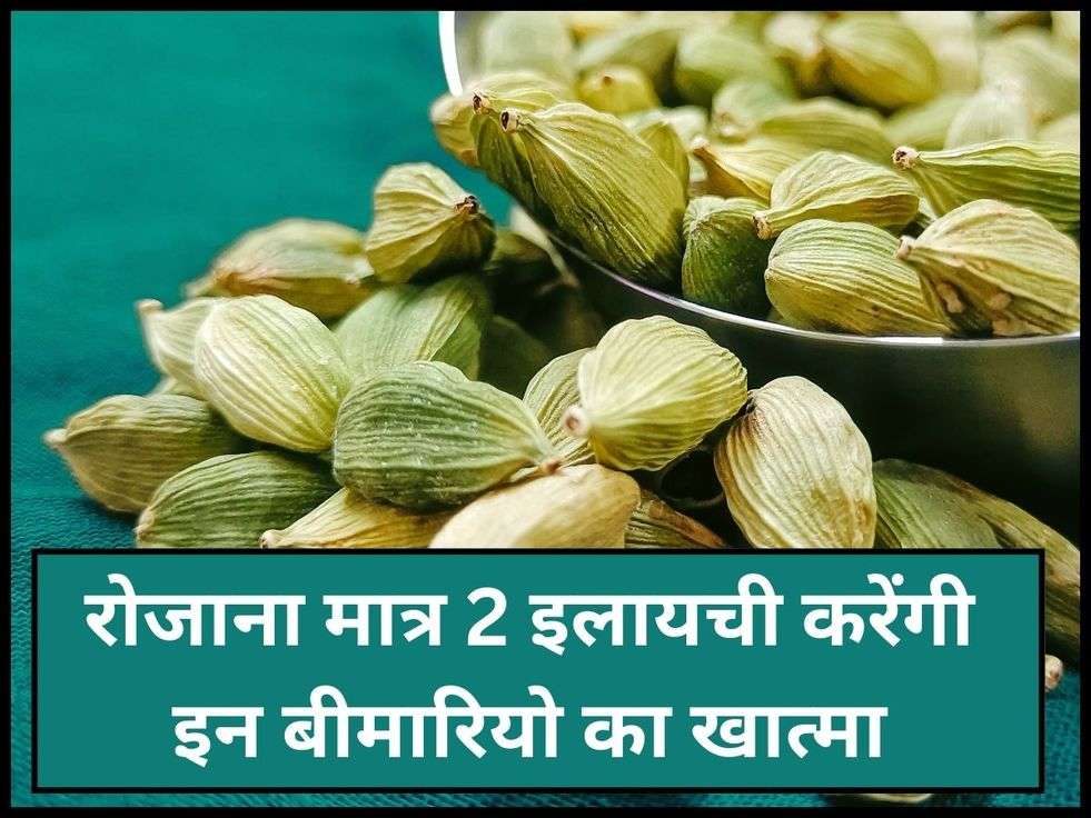 Cardamom Benefits: रोजाना मात्र 2 इलायची करेंगी इन बीमारियो का खात्मा