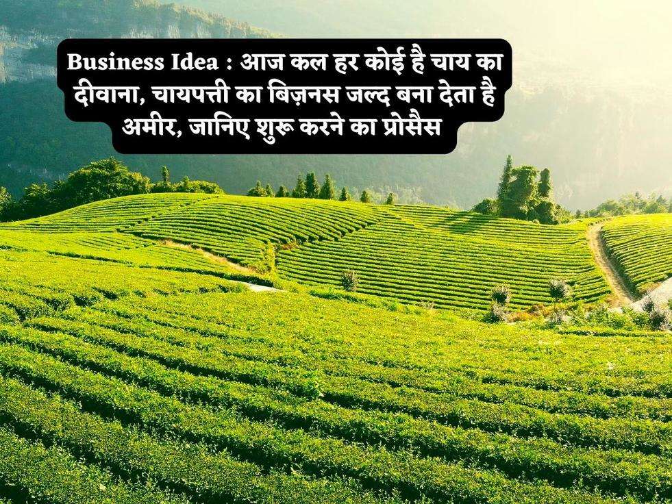 Business Idea : आज कल हर कोई है चाय का दीवाना, चायपत्ती का बिज़नस जल्द बना देता है अमीर, जानिए शुरू करने का प्रोसैस 