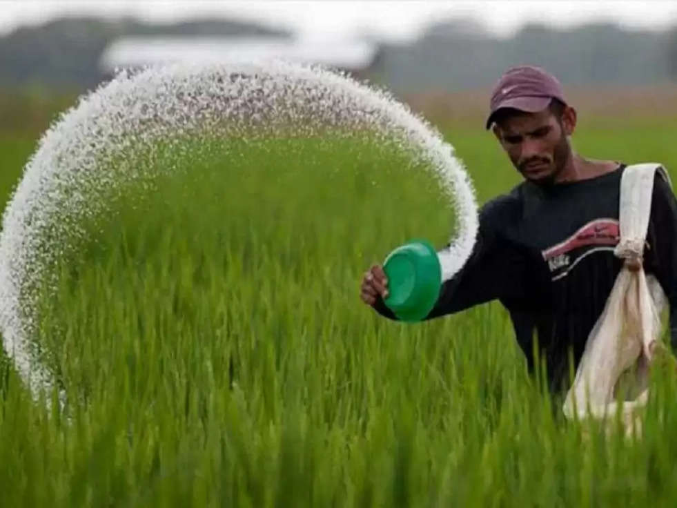 Khad Update: खाद ने बढ़ाई रबी फसलों की बुवाई करने वाले किसानों की चिंता, जानिए वजह 