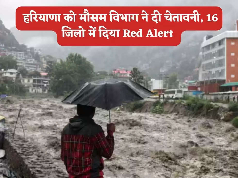 Haryana Weather Report : हरियाणा को मौसम विभाग ने दी चेतावनी, 16 जिलो में दिया Red Alert 