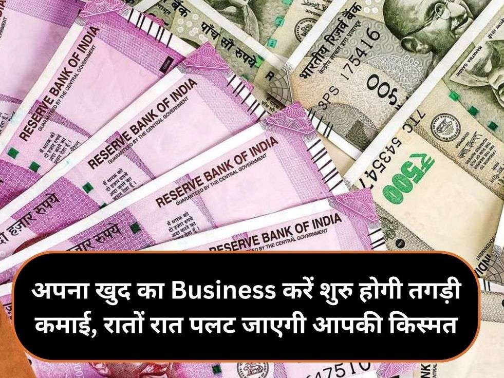 अपना खुद का Business करें शुरु होगी तगड़ी कमाई, रातों रात पलट जाएगी आपकी किस्मत