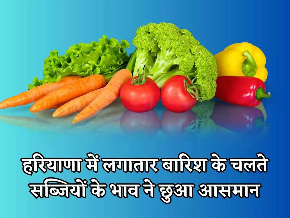 हरियाणा में लगातार बारिश के चलते सब्जियों के भाव ने छुआ आसमान, जानिए आज का ताजा भाव 