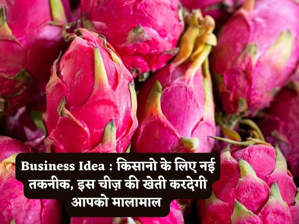 Business Idea : किसानो के लिए नई तकनीक, इस चीज़ की खेती करदेगी आपको मालामाल 