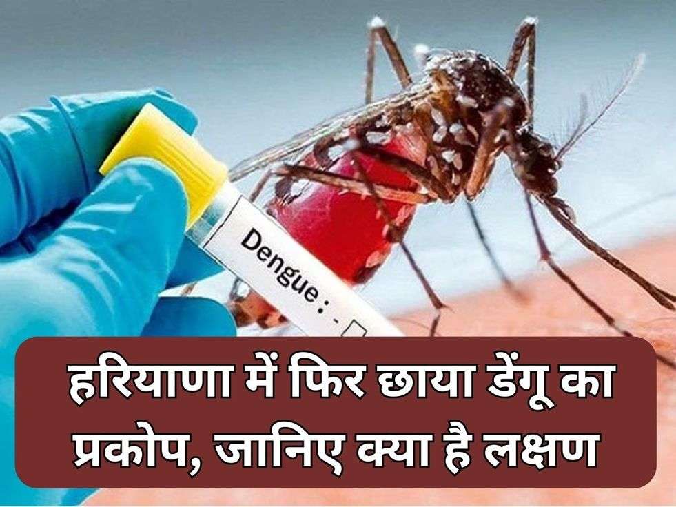 Haryana Dengue Viral