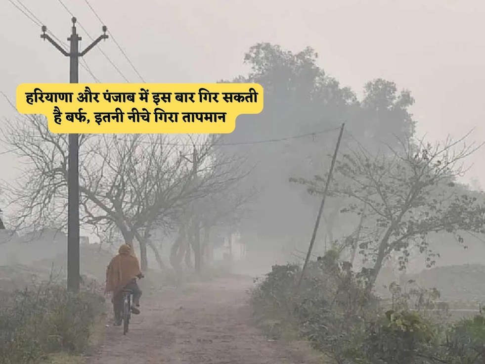 Haryana Weather : हरियाणा और पंजाब में इस बार गिर सकती है बर्फ, इतनी नीचे गिरा तापमान 