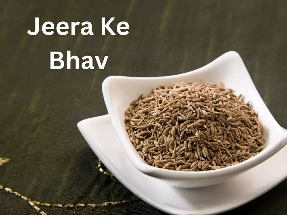 Jeera Ke Bhav: स्टॉकिस्टों की मुनाफा वसूली के कारण हाल ही में जीरे में मंदी, देखें तेजी-मंदी रिपोर्ट