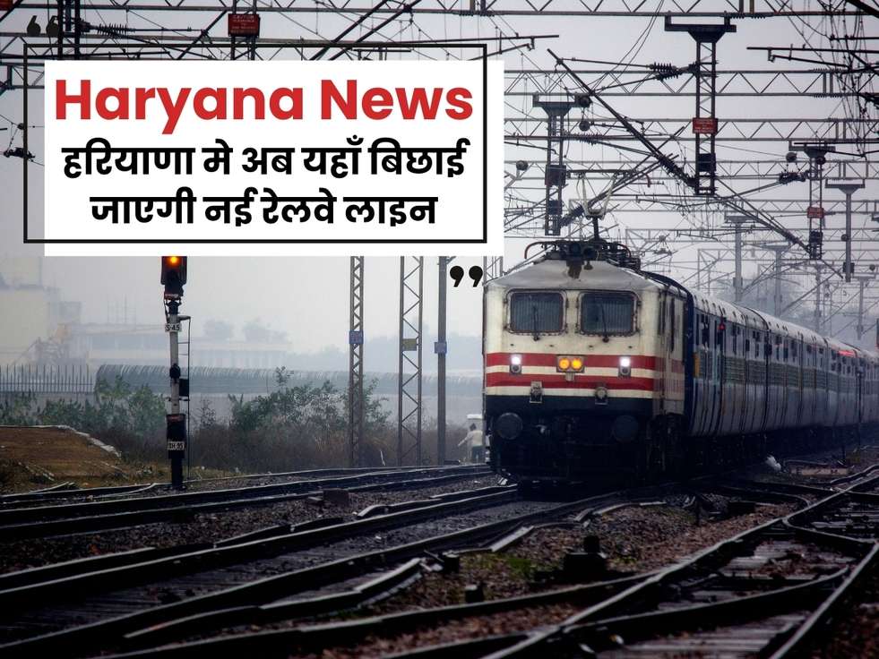 haryana news