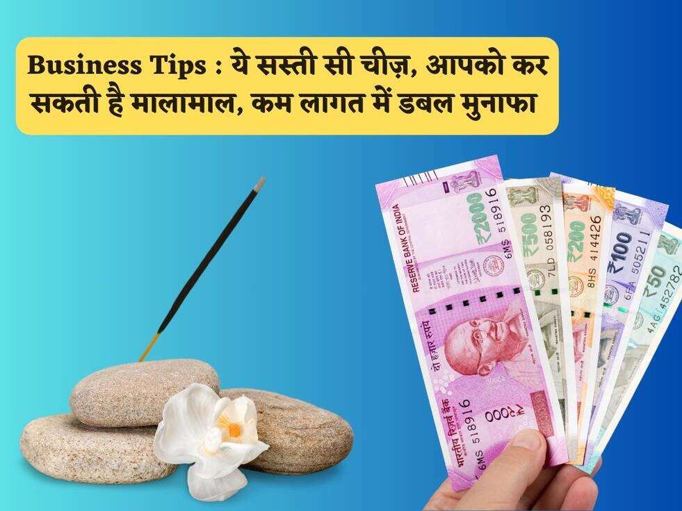 Business Tips : ये सस्ती सी चीज़, आपको कर सकती है मालामाल, कम लागत में डबल मुनाफा 