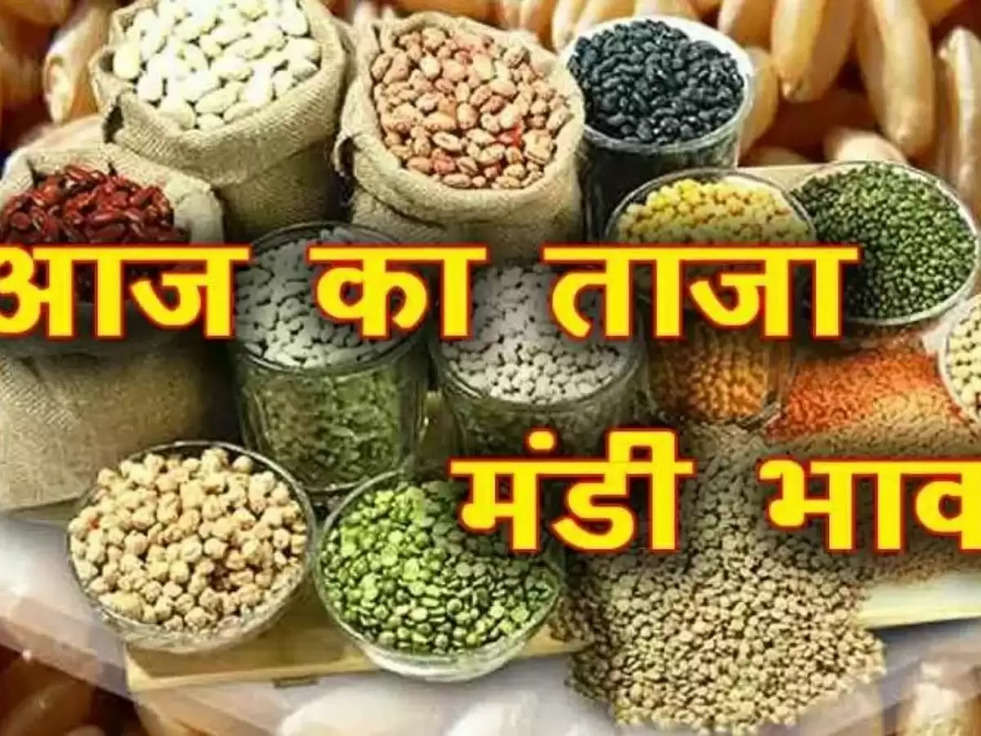 Market Price: Fall in Narma, see the latest rates of Mustard, Guar, Gram, Groundnut, Kanak Barley here