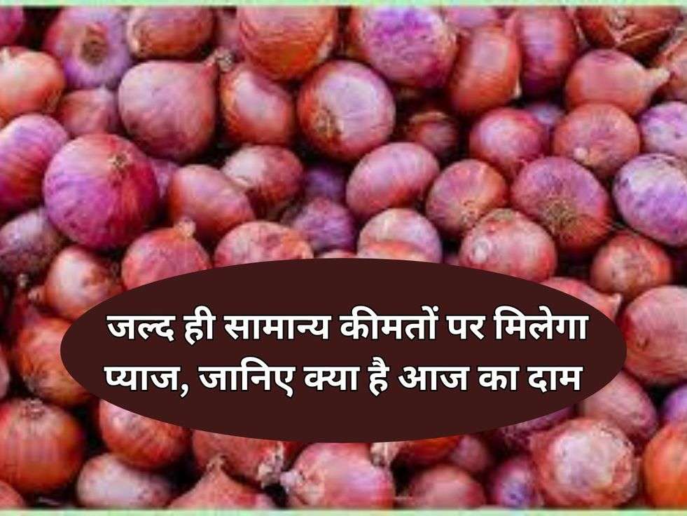 Onion Price