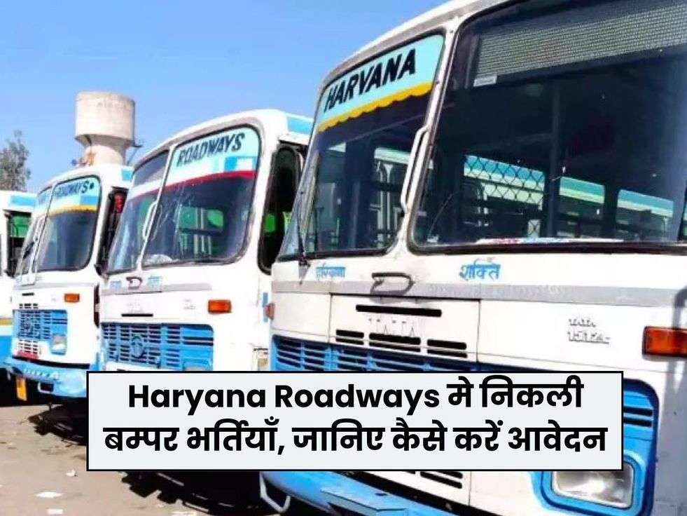 haryana roadways news