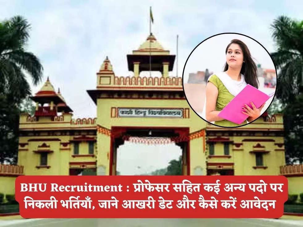 BHU Recruitment : प्रोफेसर सहित कई अन्य पदो पर निकली भर्तियाँ, जाने आखरी डेट और कैसे करें आवेदन 