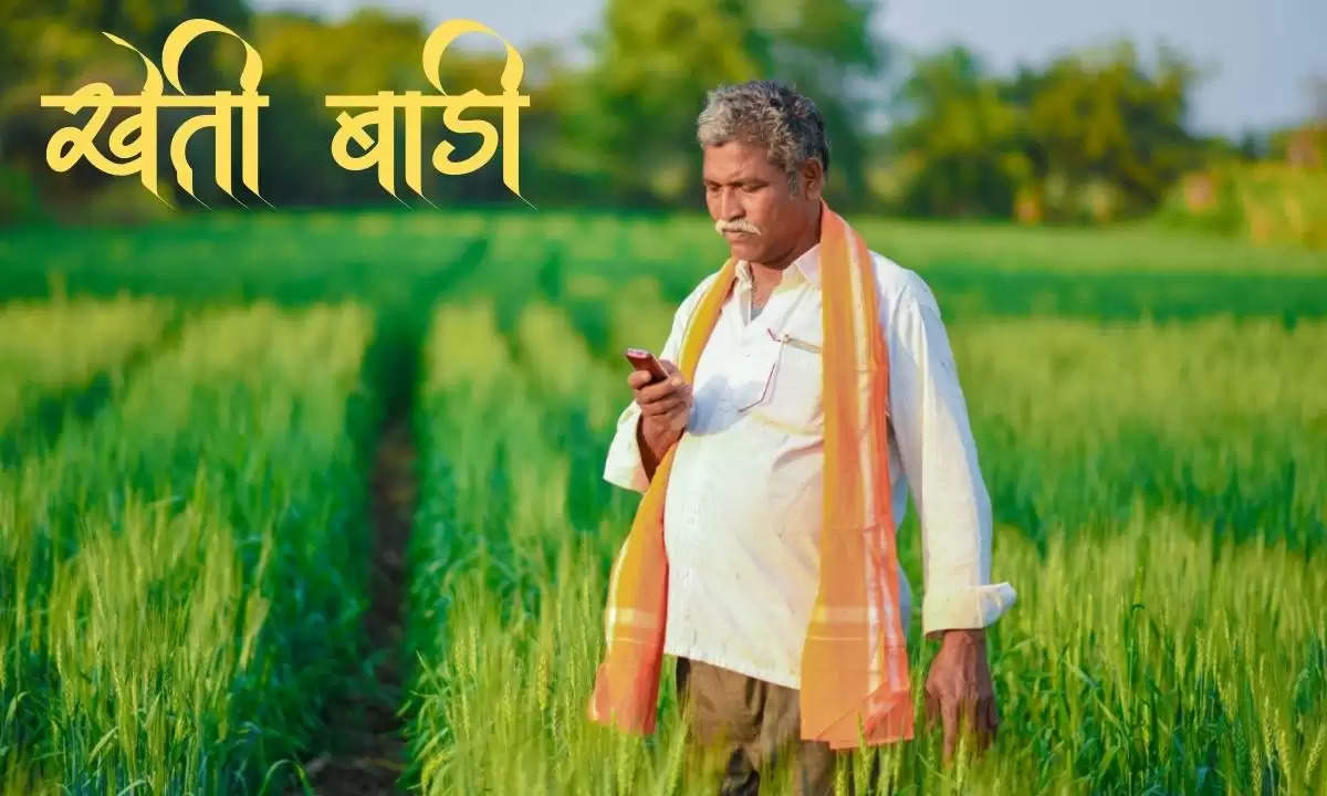 agro advisory in hindi