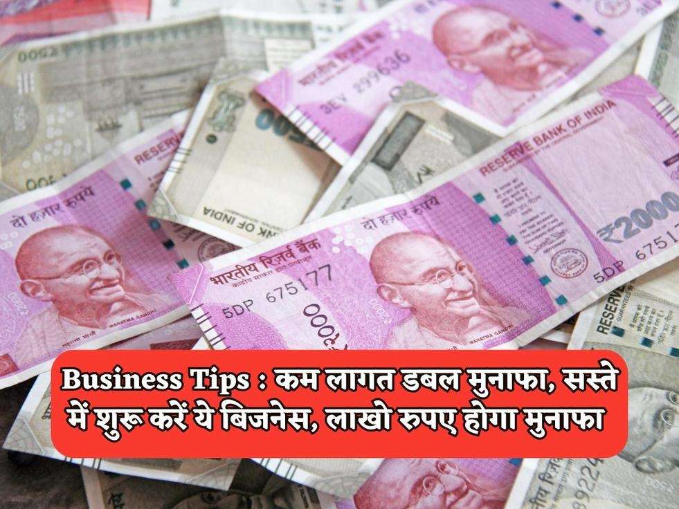 Business Tips : कम लागत डबल मुनाफा, सस्ते में शुरू करें ये बिजनेस, लाखो रुपए होगा मुनाफा 