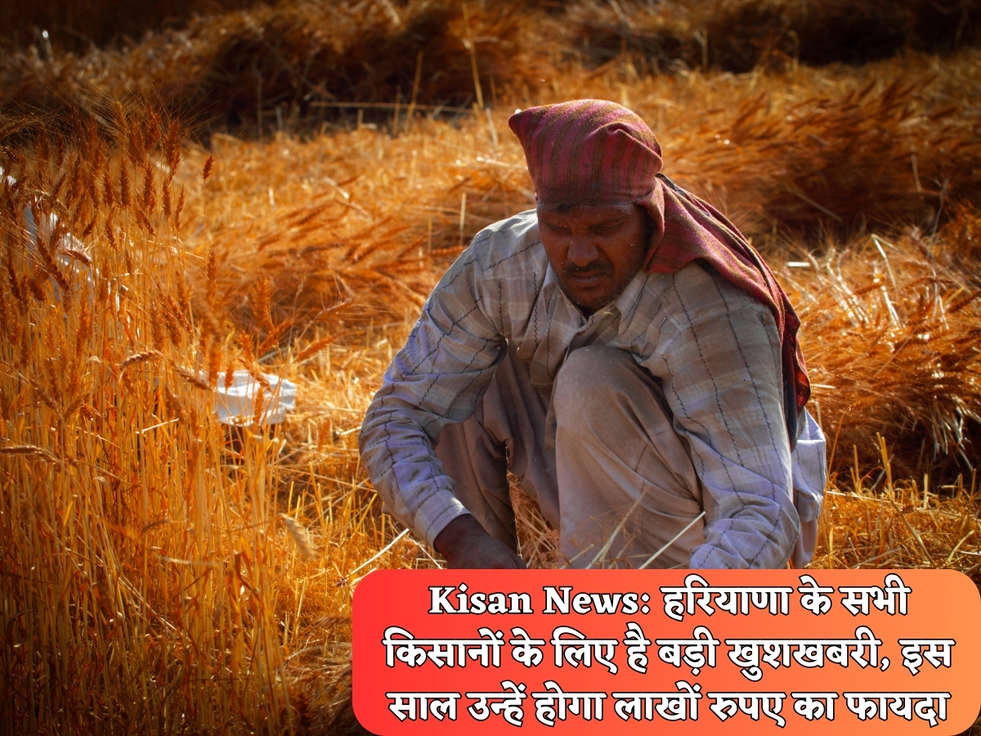 Kisan News: हरियाणा के सभी किसानों के लिए है बड़ी खुशखबरी, इस साल उन्हें होगा लाखों रुपए का फायदा