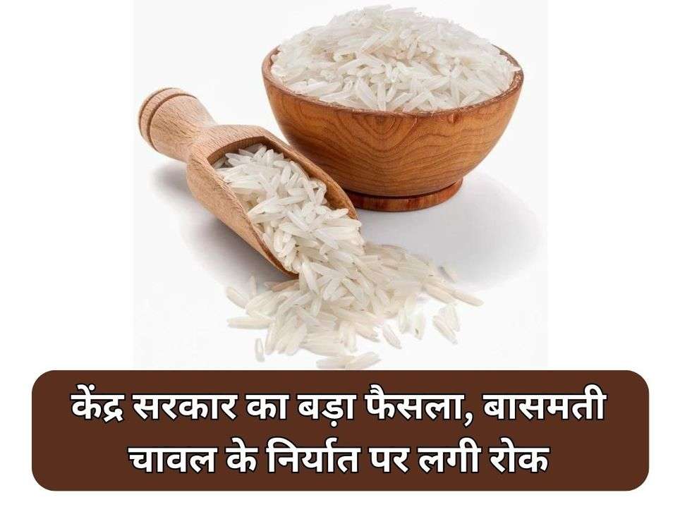 Basmati Rice