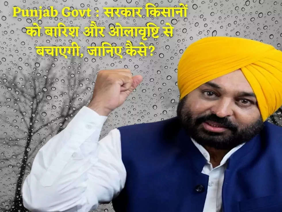 Punjab Govt : सरकार किसानों को बारिश और ओलावृष्टि से बचाएगी, जानिए कैसे?  