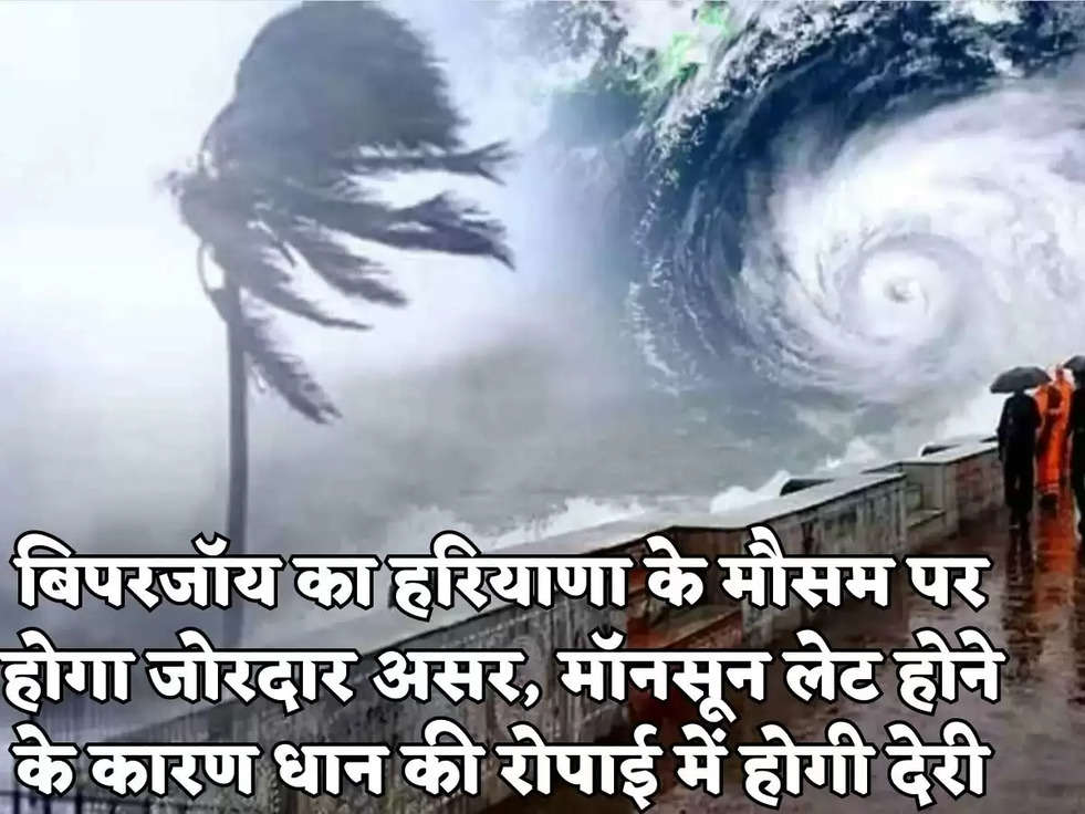 बिपरजॉय का हरियाणा के मौसम पर होगा जोरदार असर, मॉनसून लेट होने के कारण धान की रोपाई में होगी देरी