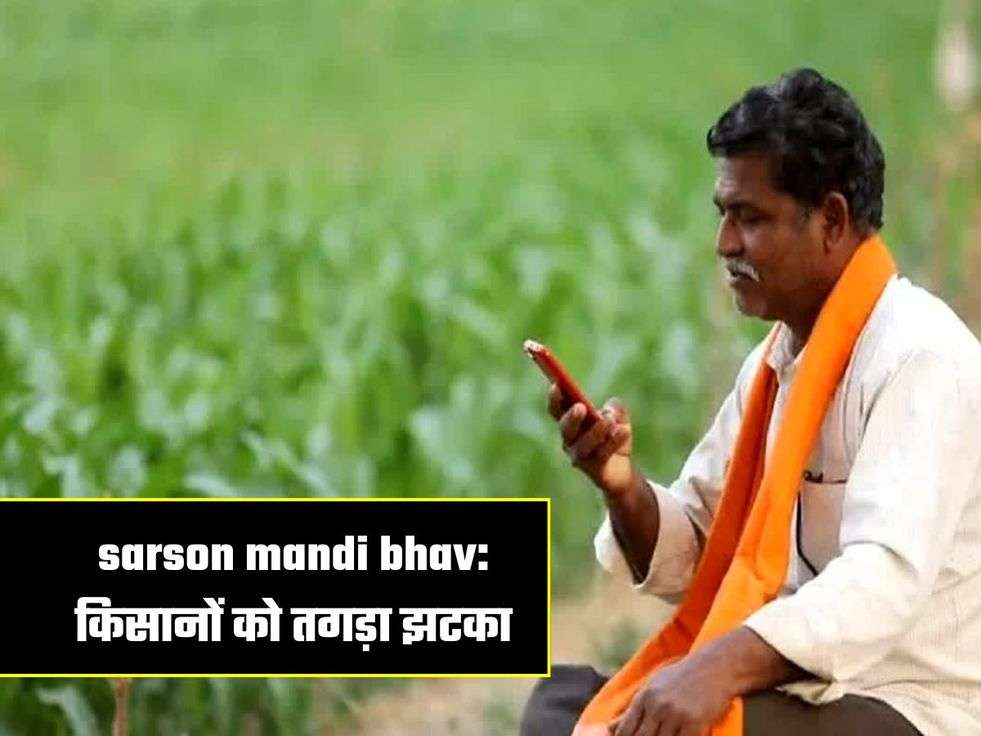 sarson mandi bhav: किसानों को तगड़ा झटका