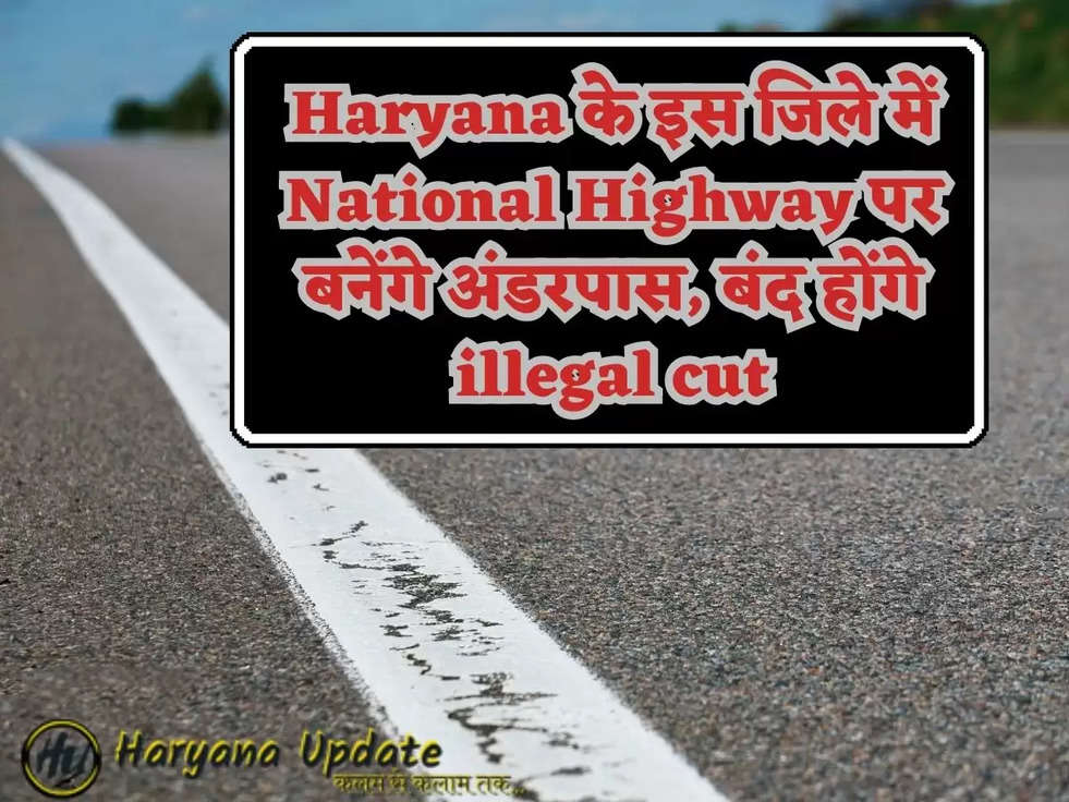 Haryana के इस जिले में National Highway पर बनेंगे अंडरपास, बंद होंगे illegal cut