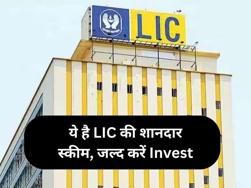 ये है LIC की शानदार स्कीम, जल्द करें Invest