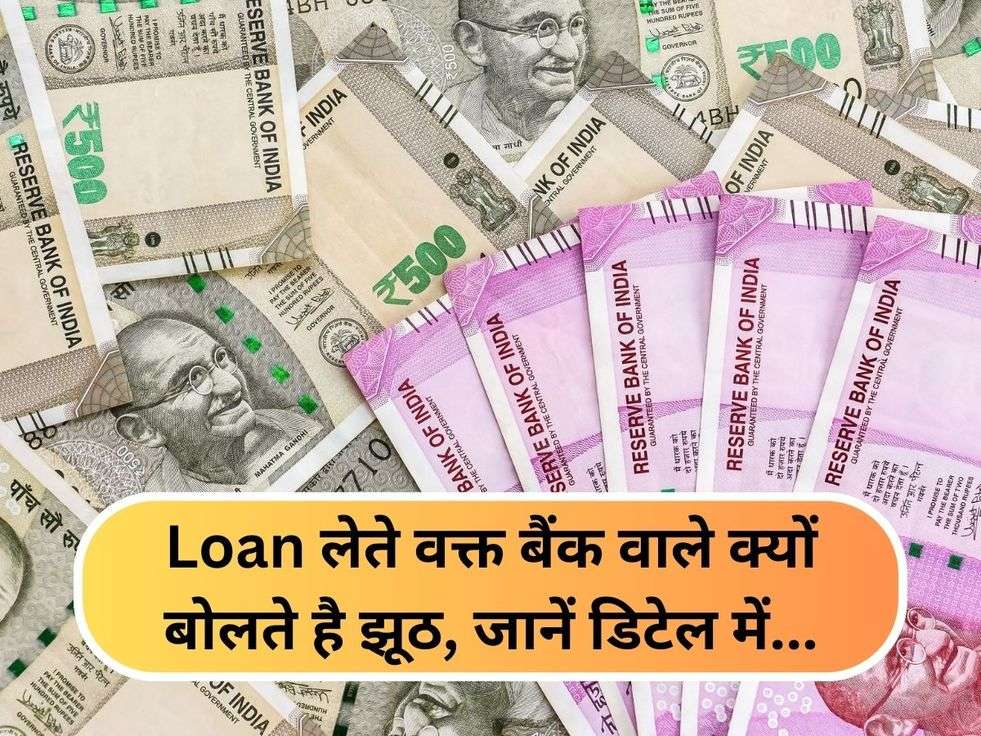 Loan लेते वक्त बैंक वाले क्यों बोलते है झूठ, जानें डिटेल में...