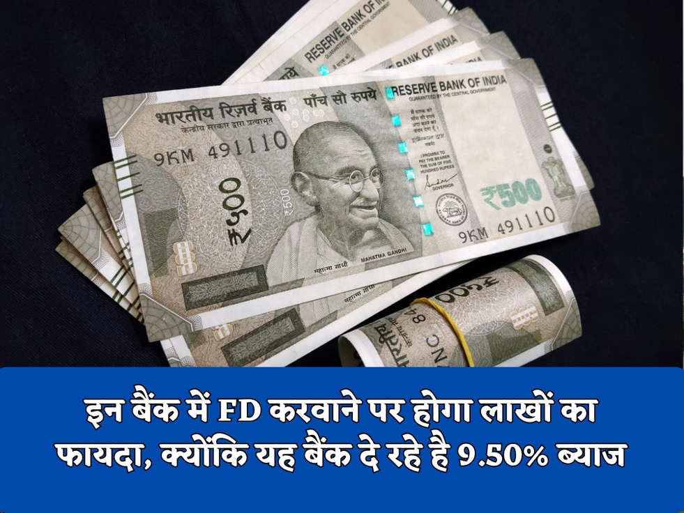 इन बैंक में FD करवाने पर होगा लाखों का फायदा, क्योंकि यह बैंक दे रहे है 9.50% ब्याज