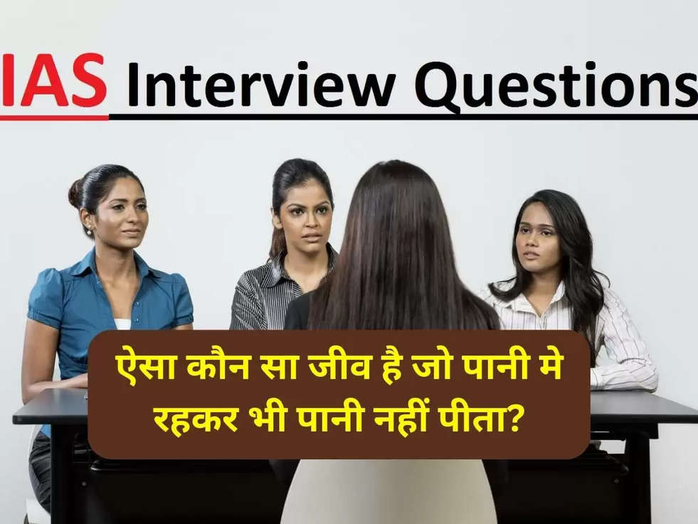 ias interview questions