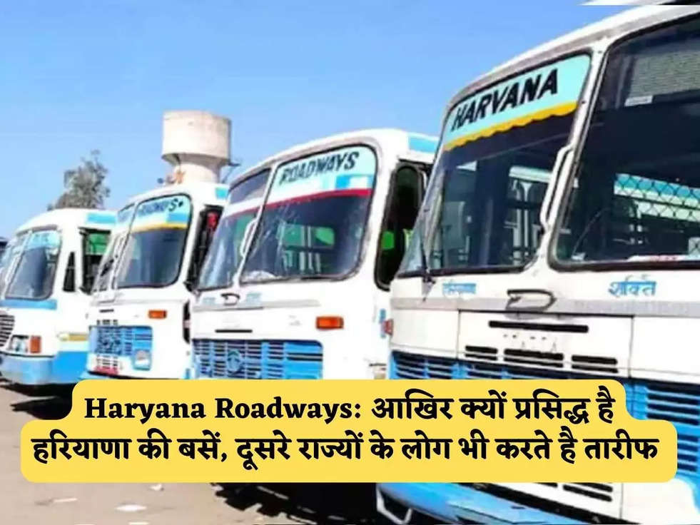 Haryana Roadways: आखिर क्यों प्रसिद्ध है हरियाणा की बसें, दूसरे राज्यों के लोग भी करते है तारीफ 