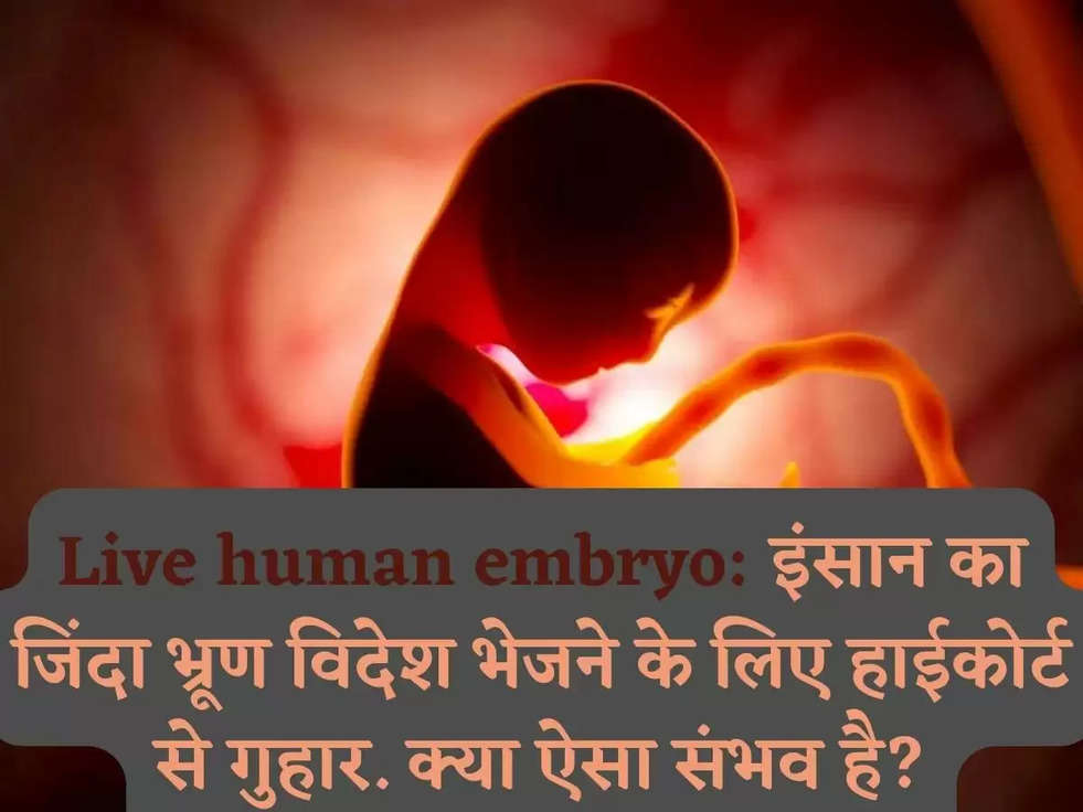 Live human embryo: इंसान का जिंदा भ्रूण विदेश भेजने के लिए हाईकोर्ट से गुहार. क्या ऐसा संभव है?